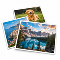 Custom Photo Prints
